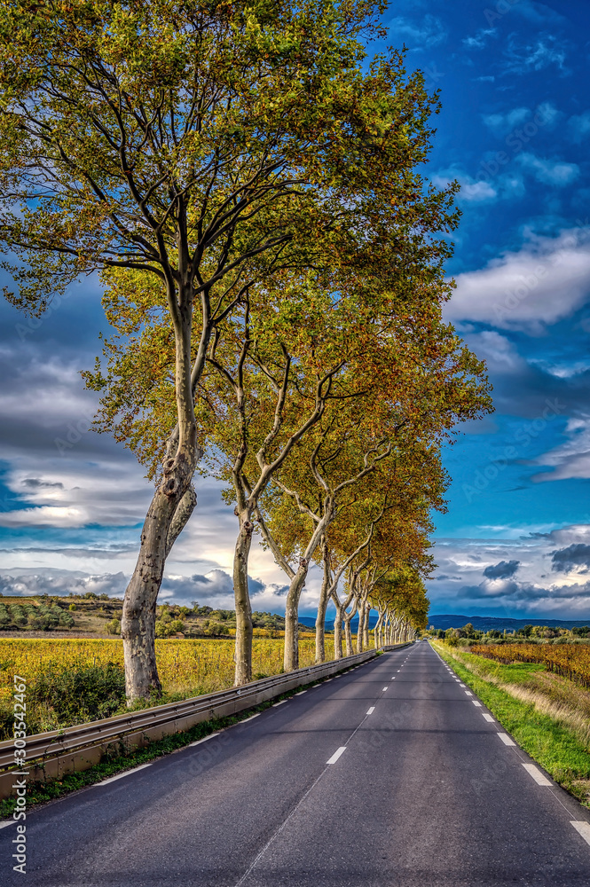 Open road in the Languedoc region of the south of France in autumn