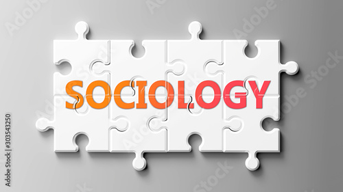 Sociology complex like a puzzle - pictured as word Sociology on a puzzle pieces to show that Sociology can be difficult and needs cooperating pieces that fit together, 3d illustration