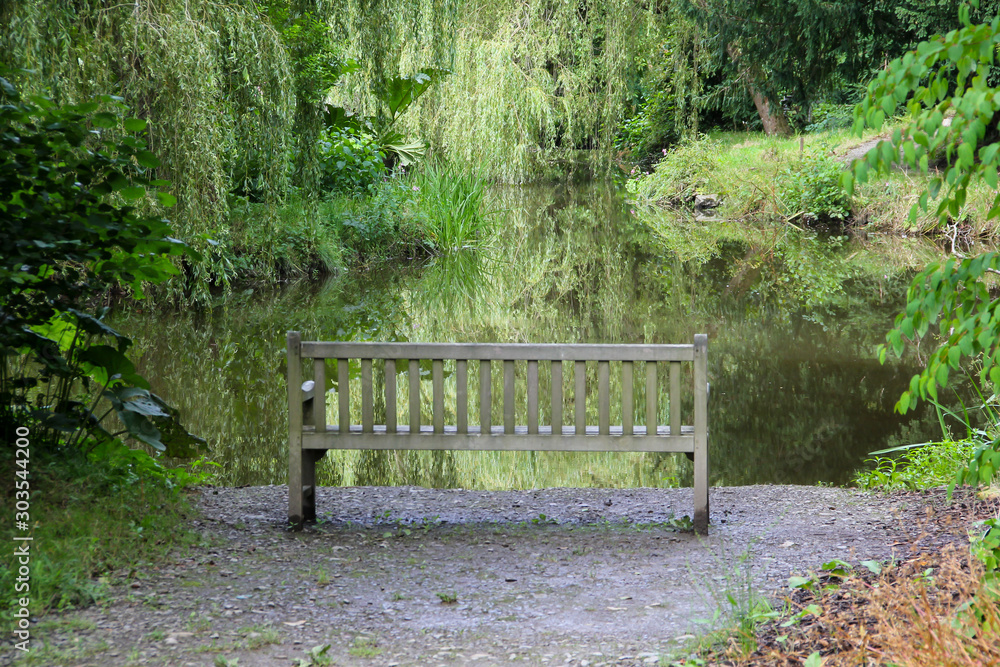 Wooden bench in the park overlooking tranquil lake with willow trees framing it. Wooden bench in the park overlooking tranquil lake with willow trees framing it.