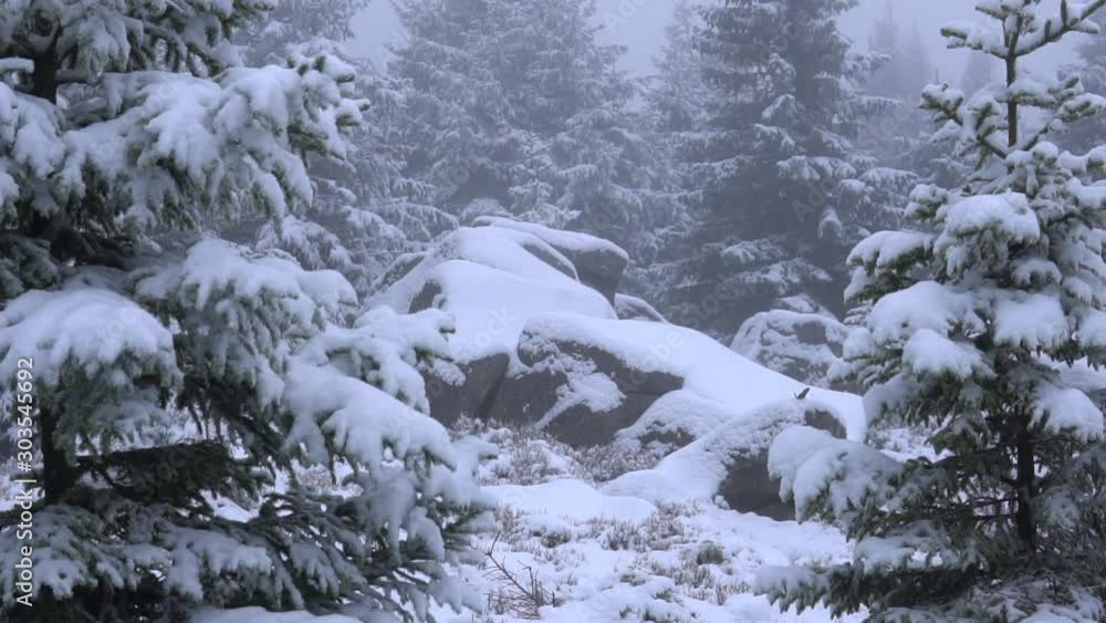 Winterlandschaft im Harz