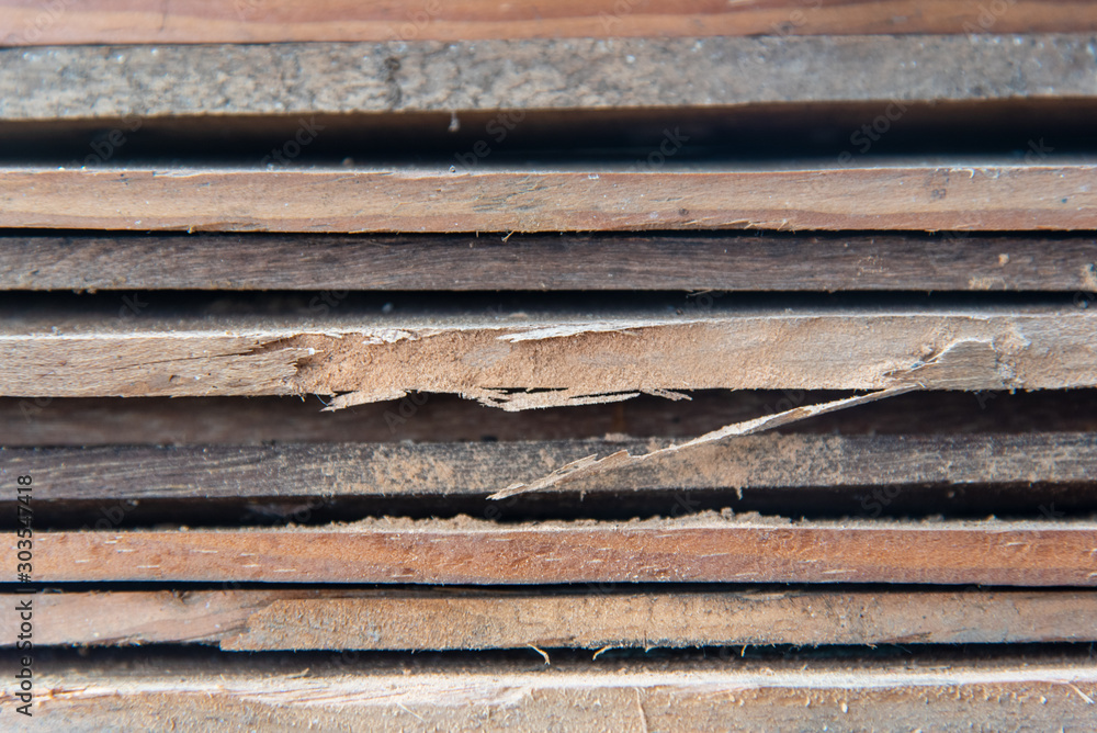 Closeup Layered wooden planks Destroyed by a Ambrosia beetle