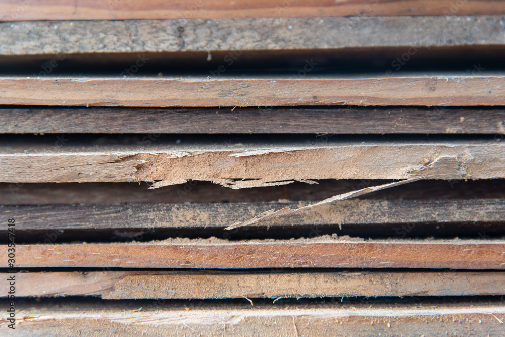 Closeup Layered wooden planks Destroyed by a Ambrosia beetle Closeup Layered wooden planks Destroyed by a Ambrosia beetle