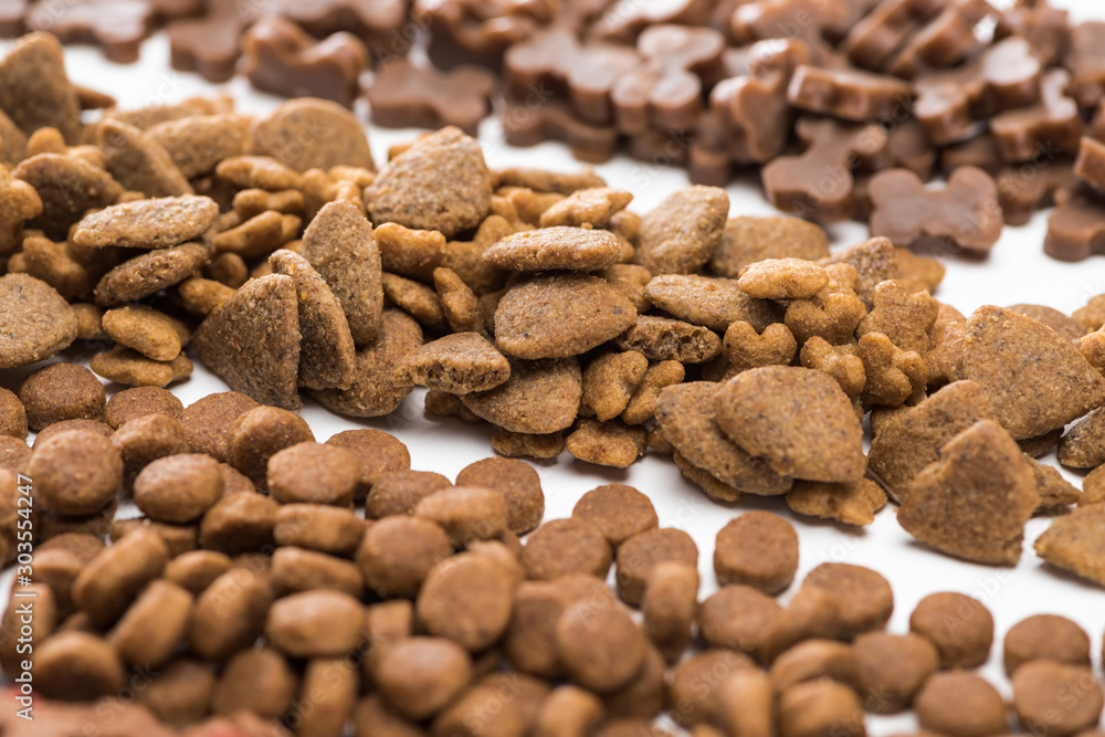 close up view of fresh assorted dry pet food in lines isolated on white close up view of fresh assorted dry pet food in lines isolated on white