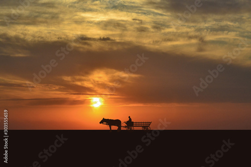Wagon silhouette at sunset © hibrida