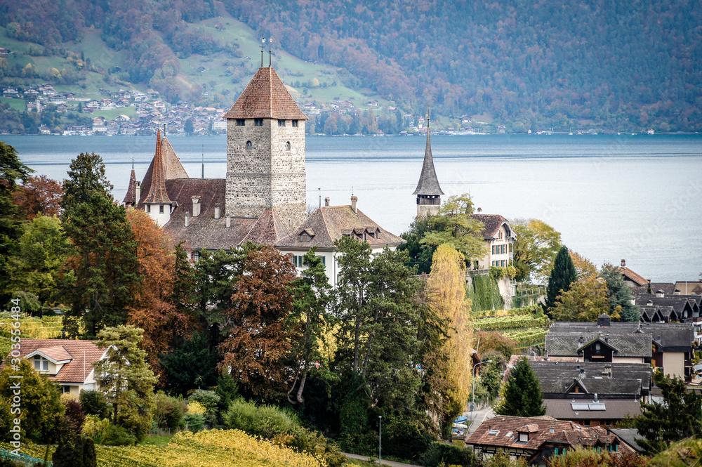 Amazing views of Switzerland alps