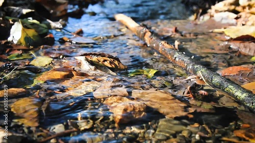 View of small river and grass at autumn under sunlight.
