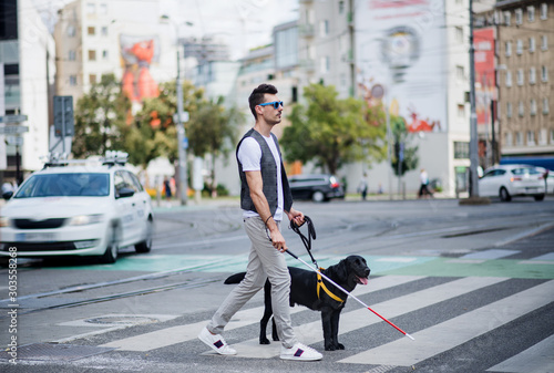 Fototapet Young blind man with white cane and guide dog walking across street in city