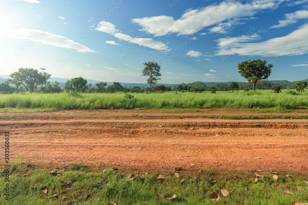 Фотография Dirt roadside view with the meadow