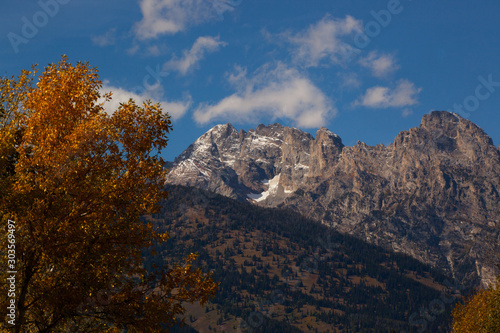 Autumn trees and snow capped mountains