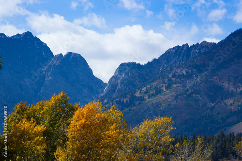 Autumn trees and snow capped mountains