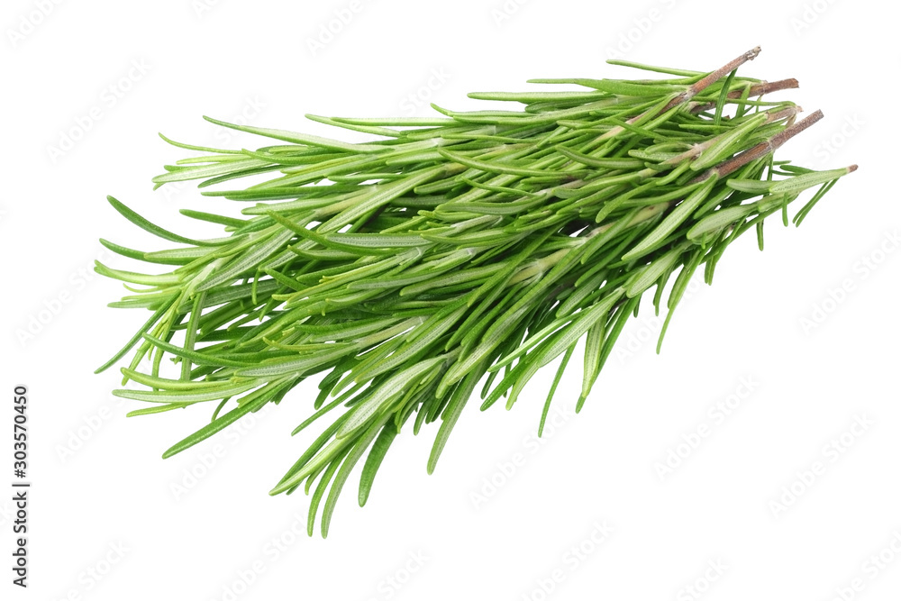 rosemary leaves isolated on white background. rosemary bunch rosemary leaves isolated on white background. rosemary bunch