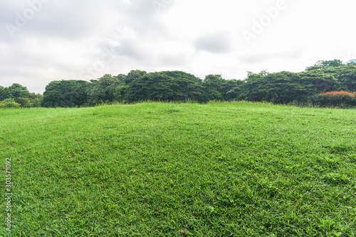 Beautiful landscape in the park and green grass field at morning.