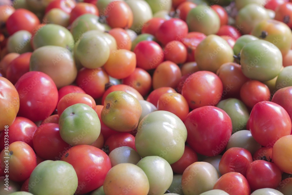 Fresh Tomatoes Being Sold in the Market in the Philippines. Selective Focus. Fresh Tomatoes Being Sold in the Market in the Philippines. Selective Focus.