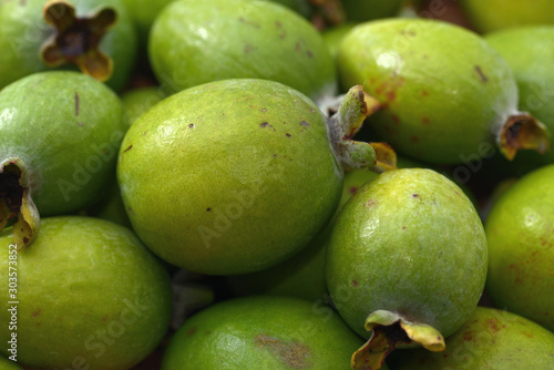 Harvested Feijoa s fruit  close up  Acca sellowiana