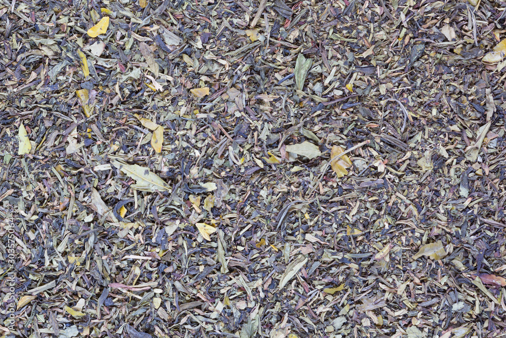 Fujian Liu Cha green tea leaves as background Fujian Liu Cha green tea leaves as background