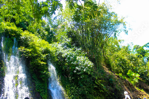 waterfall in a tropical forest