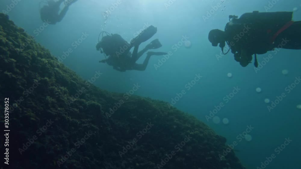 Divers underwater swimming in the sea Divers underwater swimming in the sea