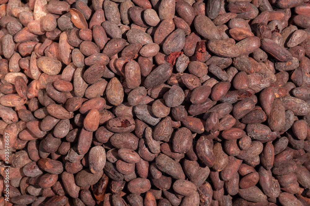 Worker roasting cocoa beans in a chocolate making factory Worker roasting cocoa beans in a chocolate making factory