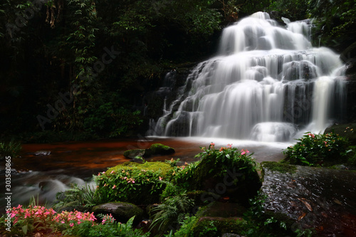 Mandang waterfall in Thailand With pink flowers near the waterfall.