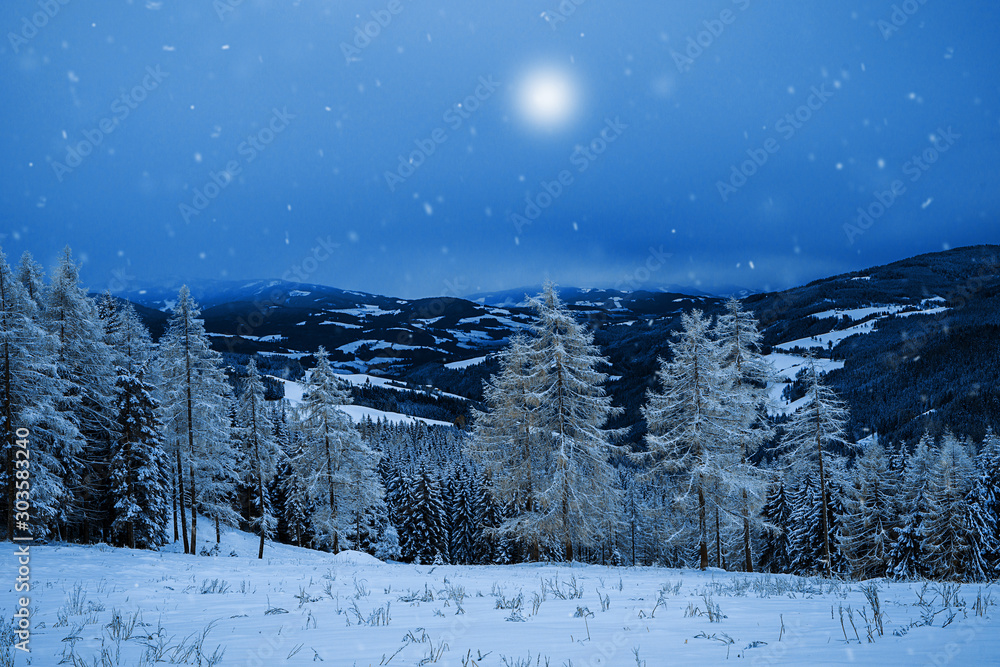 Winterwunderland-märchenhaft verschneite Landschaft im Mondschein, Motiv für Weihnachtskarte