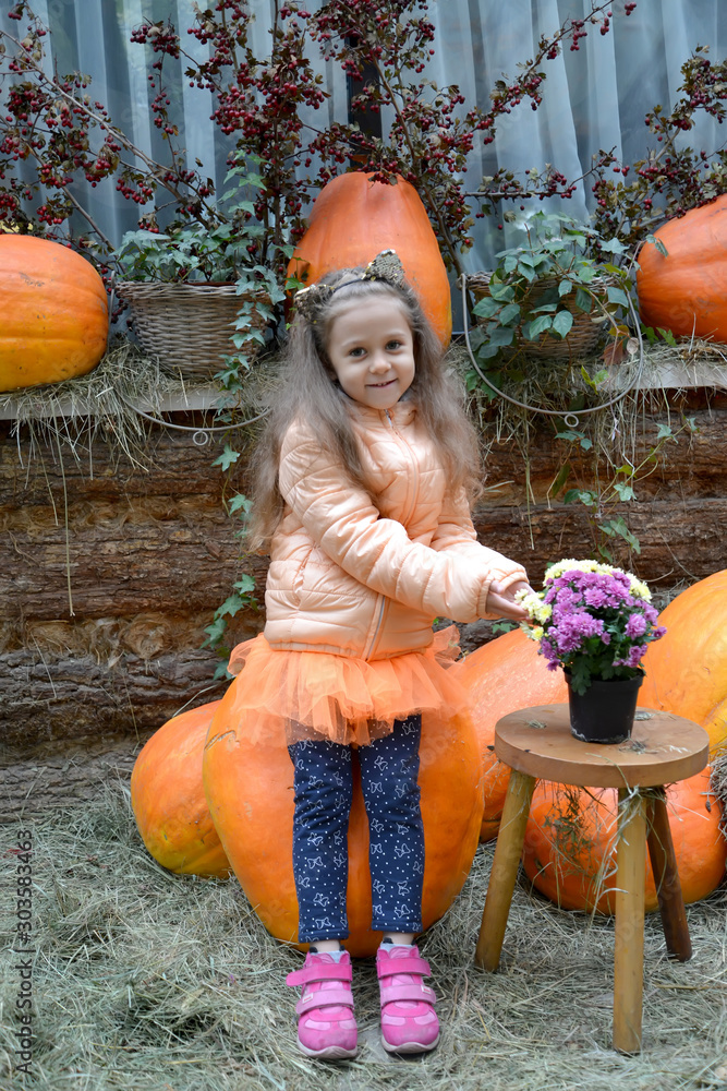 Φωτογραφία A five-year-old girl with a bouquet of astra sits on a large pumpkin in the yard of a rural house