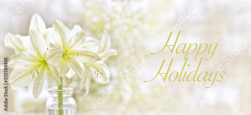Holiday Amaryllis Greeting Banner