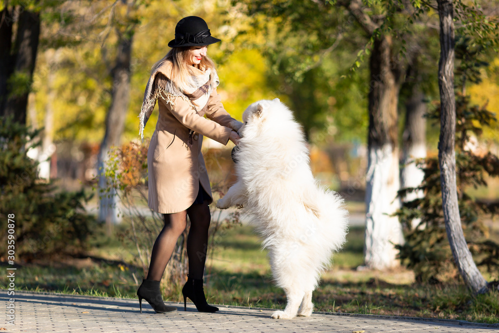 Girl plays with with her dog. A large purebred white dog jumps on its mistress, stands on its hind legs. Girl plays with with her dog. A large purebred white dog jumps on its mistress, stands on its hind legs.