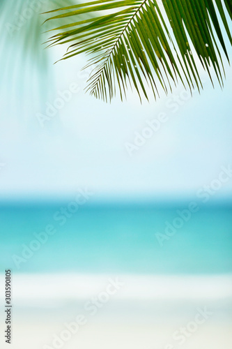 Beautiful tropical blurred beach background with palm tree, Summer.