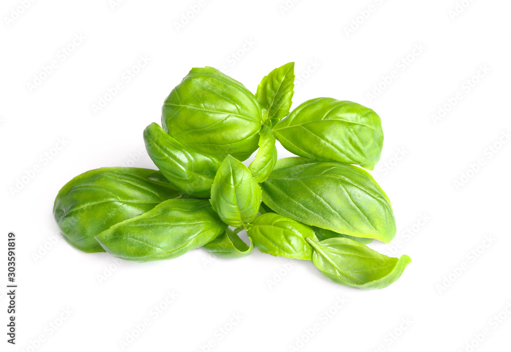 Fresh green basil leaves isolated on white Fresh green basil leaves isolated on white