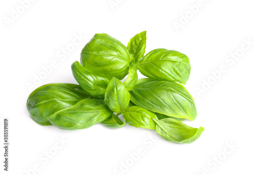 Fresh green basil leaves isolated on white