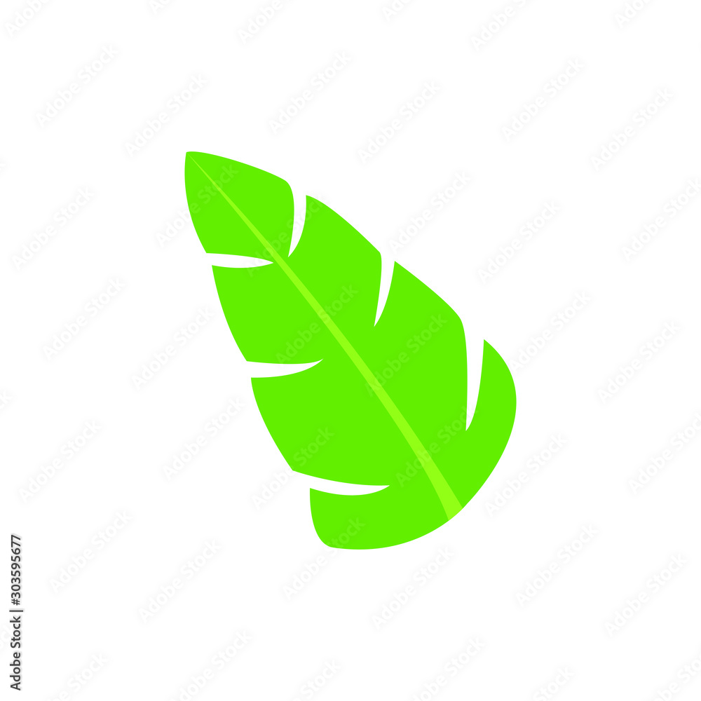 Isolated leaf jungle green vector Isolated leaf jungle green vector