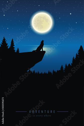 wolf howls to the full moon in a starry night by lake vector illustration EPS10