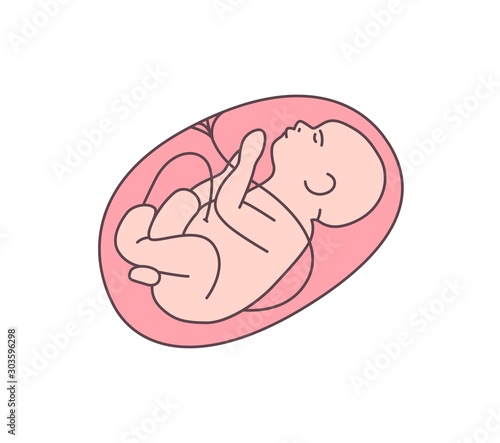 Unborn baby flat vector illustration. Healthy fetal, embryo outline color icon. Obstetrics clinic, maternity hospital logotype design element. Fetus in mother womb surrounded with placenta.