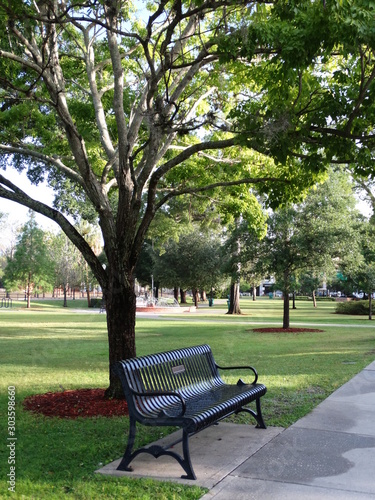 empty metal park bench under shady tree