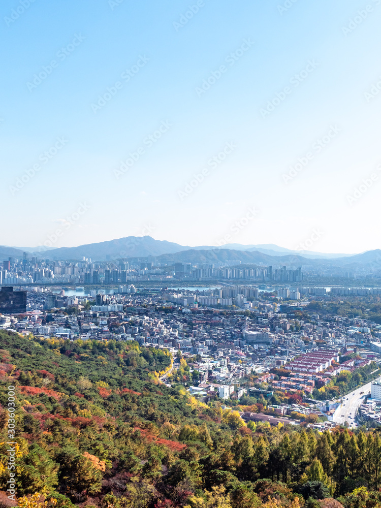 overgrown slope of Nam mountain and Seoul city