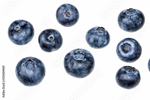 Separate Blueberry on White Background
