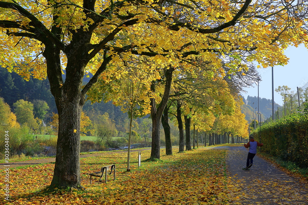 Fototapeta premium Goldener Herbst