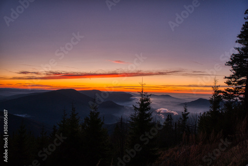 blue hour in karst spruce mountains with fog, czech, beskydy,