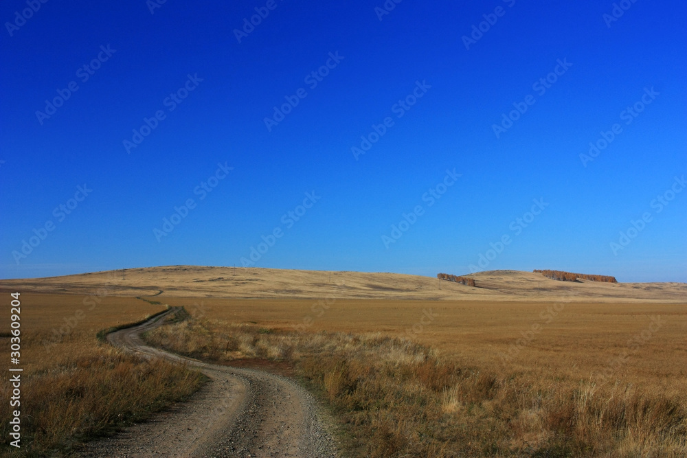 Autumn country road in the field Autumn country road in the field