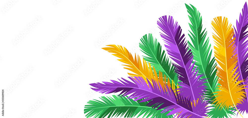 Εκτύπωση καμβά Card with feathers in Mardi Gras colors.