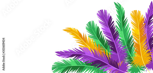 Photographie Card with feathers in Mardi Gras colors.