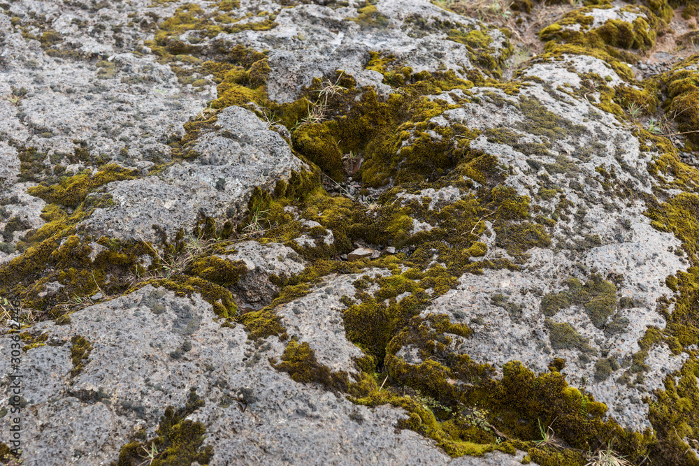 Gray stones with green moss. Texture background Gray stones with green moss. Texture background