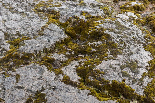 Gray stones with green moss. Texture background