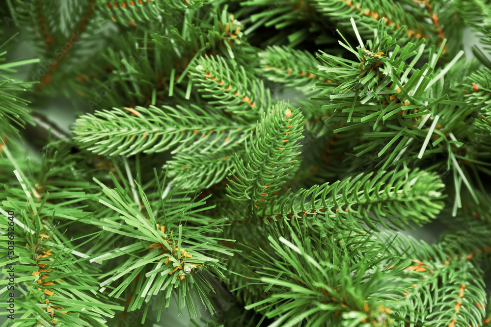 Beautiful Christmas tree branches as background Beautiful Christmas tree branches as background
