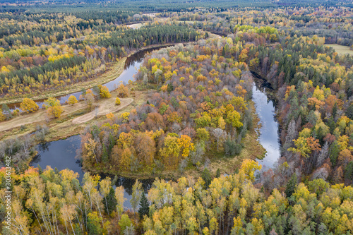 Forest in autumn colors. Colored trees and a meandering blue river. Red, yellow, orange, green deciduous trees in fall. Koiva national park, Latvia, Europe