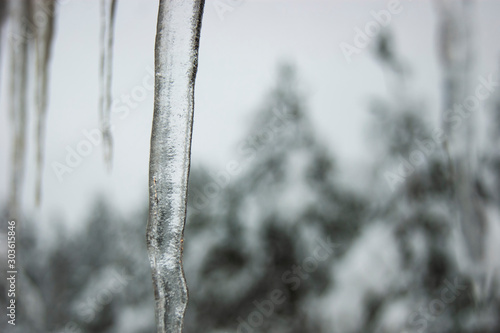 Gloomy icicles melting snow. Goodbye winter, hello spring