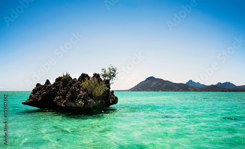 La Roche Cristal, coral plate, Mauritius © Ian Boswell 