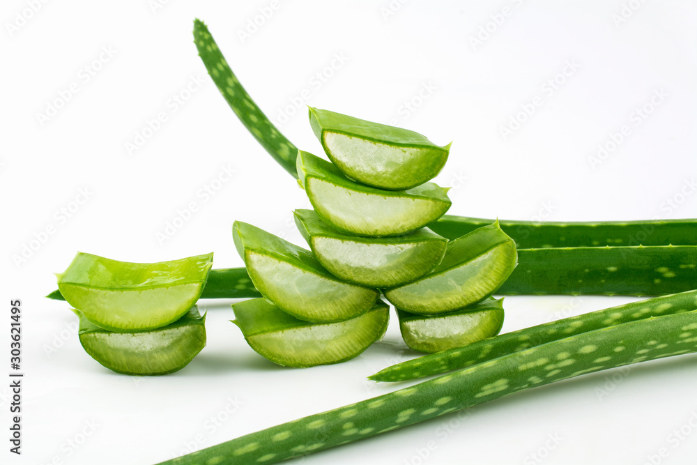 Aloe Vera medicinal plant isolated on a white background. Aloe Vera medicinal plant isolated on a white background.