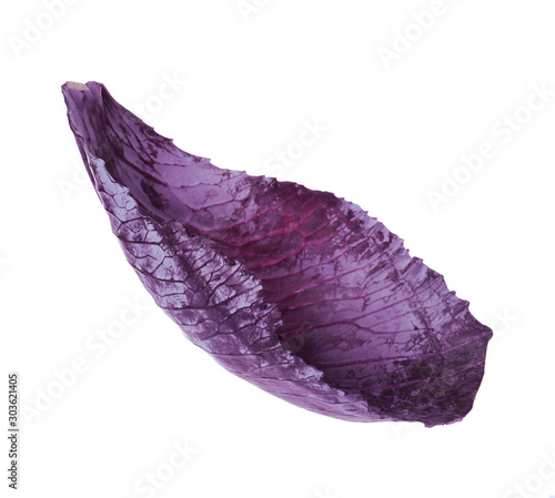 Fresh red cabbage leaf isolated on white