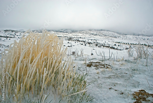 Nevada en los Campos de Hernán Perea, en la sierra de Cazorla, Segura y Las Villas. photo